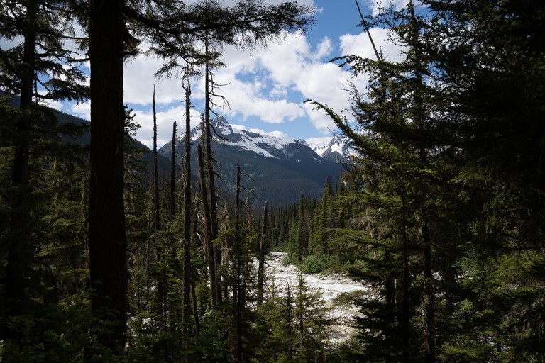 Sentier du glacier Illecillewaet 1 Glacier National Park Canada