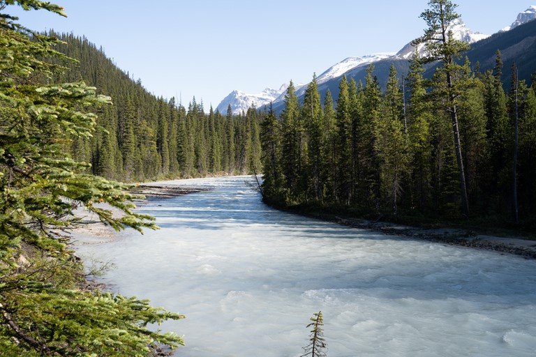 Yoho River Yoho valley trail Yoho National Park