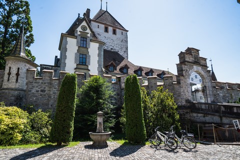 Château d'Oberhofen Interlaken Suisse