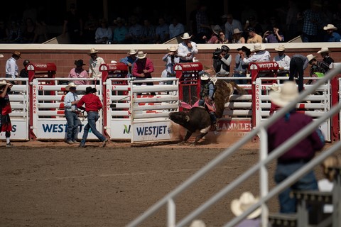 Stampede Rodeo Show Calgary Canada
