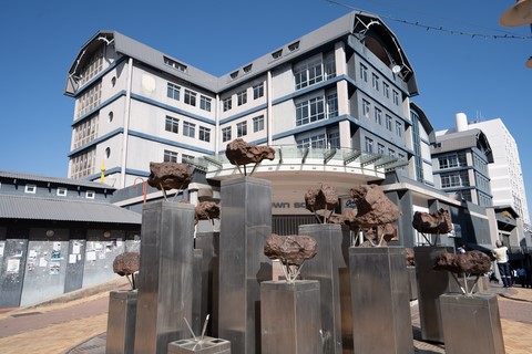 Post Street Mall et météorite de Gibeon Windhoek Namibie