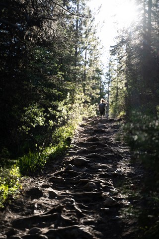 Sulphur Skyline 1 Jasper National Park Canada