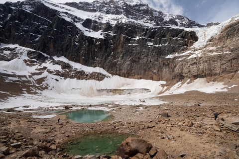 Sentier des plaines Edith Cavell Jasper National Park Canada