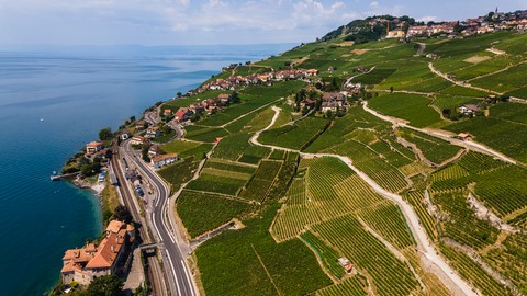Vue sur les vignes depuis le drone Vignobles de Lavaux Chexbres Lac léman Montreux Suisse
