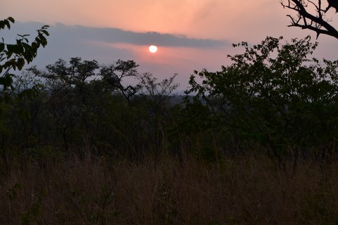 Sunset drive Pretoriuskop rest camp Kruger Park