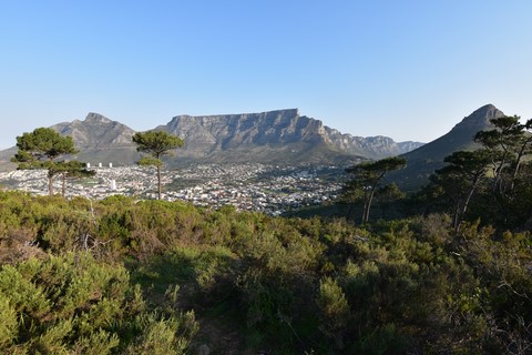 Vue de la Table Mountain et Lion's Head Signal Hill Cape Town