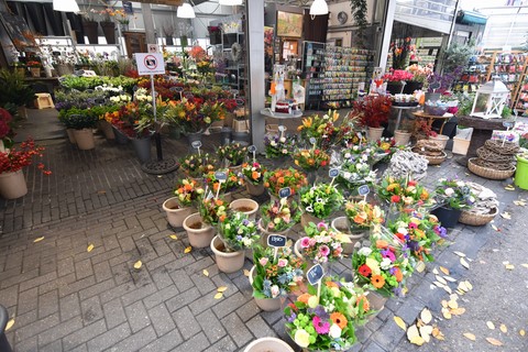 Marché aux fleurs Amsterdam