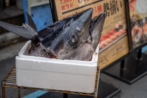 Thon rouge marché aux poissons de Tsukiji Tokyo Japon