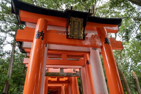 Torii Fushimi Inari Taisha Kyoto Japon