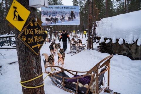 Laponie Finlandaise Levi Sirkka safari chien de traineau 3