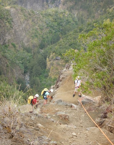 Sentier de cabris canyoning fleur jaune Cilaos La Réunion