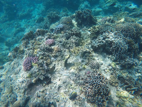 Snorkelling Gili Trawangan Indonésie
