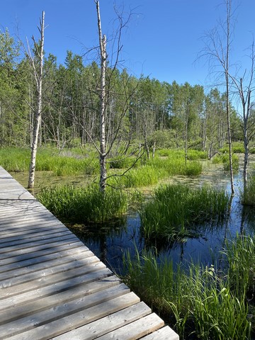 Oster & Shirley Lake Elk Island Edmonton Canada
