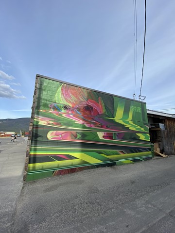 Street art 3 Jasper Canada