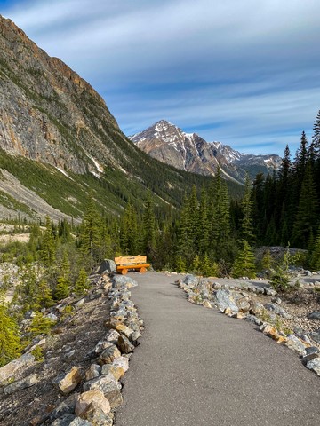 Sentier Sentier des plaines Edith Cavell Jasper National Park Canada
