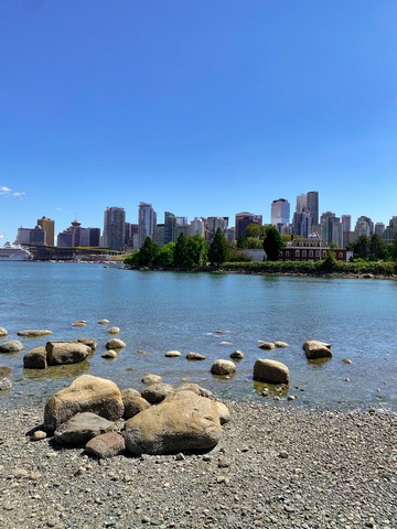 Vancouver Skyline Stanley Park Vancouver Canada