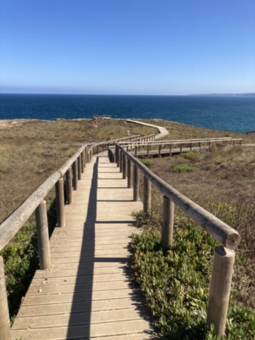 Viewpoint Pontal da Carrapateira Sagres Portugal