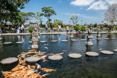 Les carpes Water Palace Tirtagganga Bali Indonésie