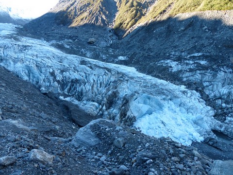 Fox glacier Nouvelle-Zélande