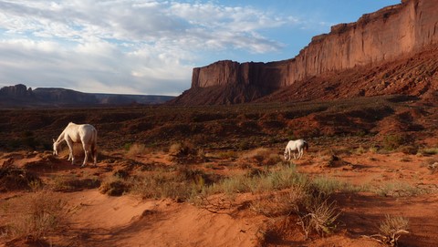 Mustang à Monument Valley
