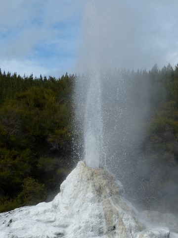 Wai o Tapu Nouvelle-Zélande Lady knox geyser