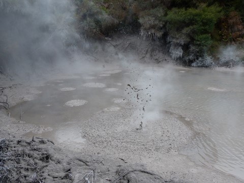 Wai o Tapu Nouvelle-Zélande Mud pool