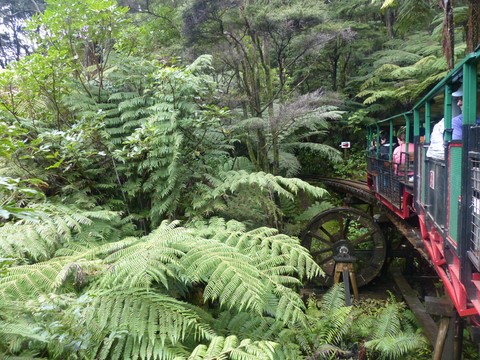 Driving creek Railway Nouvelle-Zélande