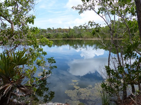 Big Pine key Blue hole Floride Etats-Unis