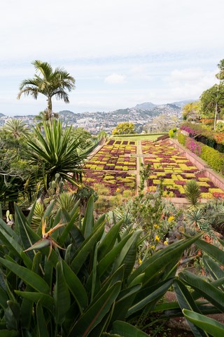 Jardin Botanique Funchal Madère