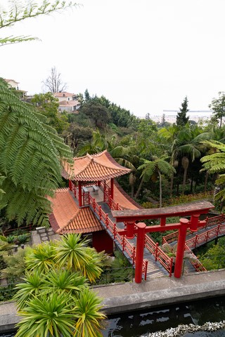Jardin tropicla du Monte Palace Funchal Madère