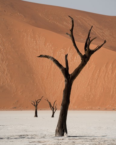 Deadvlei 2 Namibie