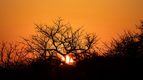 Sunset Etosha Namibie