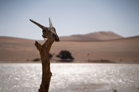 Sossusvlei 1 Namibie