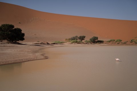 Sossusvlei Namibie