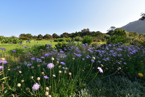 Le Parc Kirstenbosch Gardens Cape Town