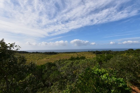 kuMziki Isimangaliso Wetland Park Saint Lucia