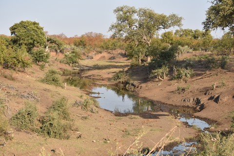 Point d'eau Letaba Rest camp Parc Kruger