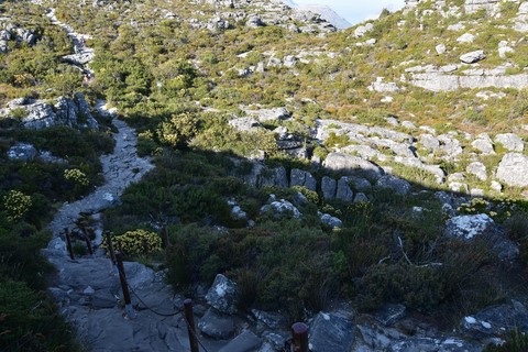 Vers Platteklip gorge Table Mountain Cape Town