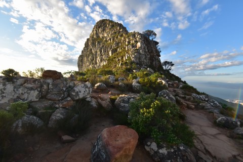 Le haut de Lion's Head Cape Town