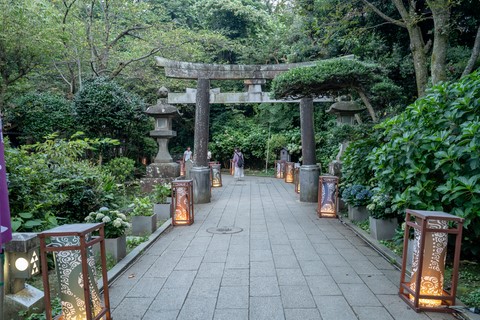 Enoshima Torii Kamakura Japon