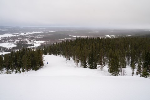 Laponie Finlandaise Rovaniemi Ounasvaara
