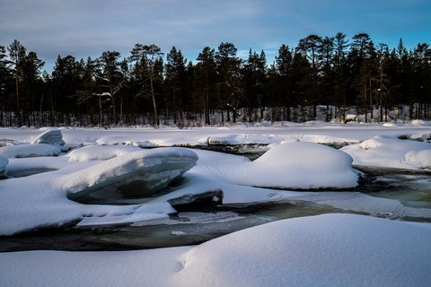 Laponie Finlandaise Inari Balade Juutuanjoki au lac Inari