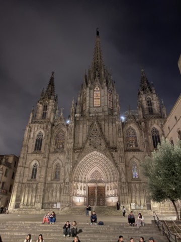 Cathédrale Sainte-Croix Barcelone Espagne
