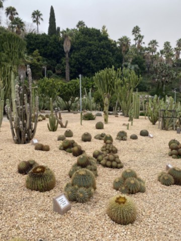 Jardins de Mossèn Costa i Llobera Barcelone Espagne