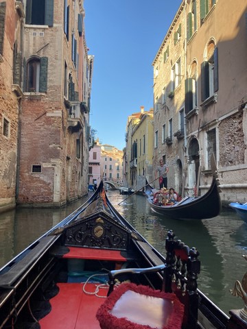 Tour de Gondole Venise