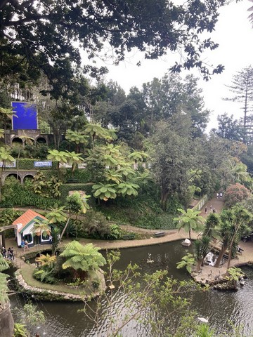 Jardin tropical 1 Funchal Madère