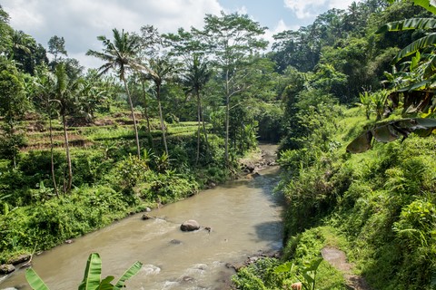 Vallée de la Sungai Ayung Ubud Bali Indonésie