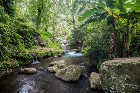 Rivière Pakrisan Gunung Kawi Bali Indonésie