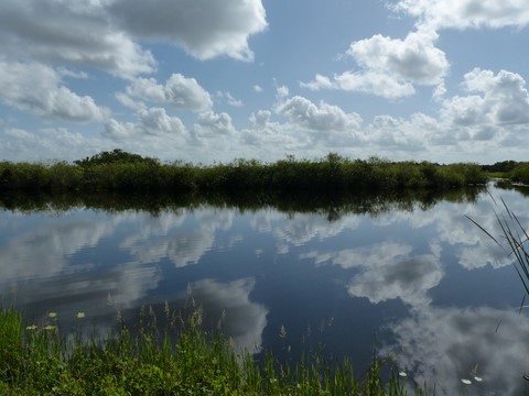 Pa hay okke overlook Les everglades Floride Etats-Unis